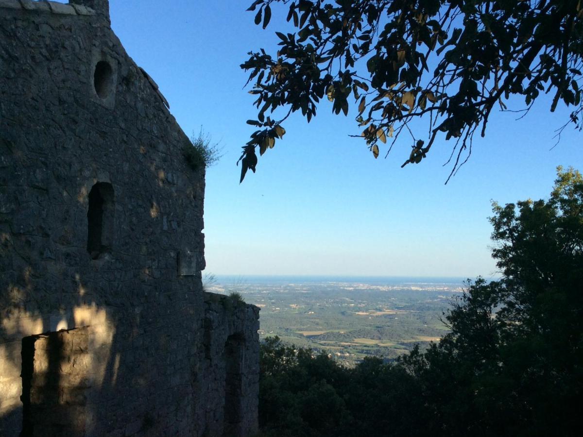 Le Castellas Du Pic St Loup Acomodação com café da manhã Saint-Mathieu-de-Tréviers Exterior foto